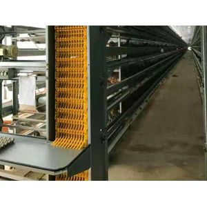 Buy cheap Detachable Steel Frame Chicken Coop Pre-Engineered With Different Dimension from wholesalers