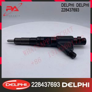 China 228437693 DELPHI Diesel Engine Fuel Injectors 228437693 on sale