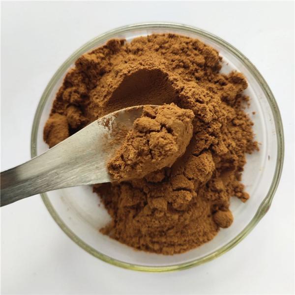 Gmp Sarcandra Glabra Extract For Antirheumatic