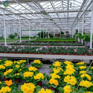 Buy cheap Waterproof Flower Greenhouse Multi Span Greenhouse With Strong Load Bearing product