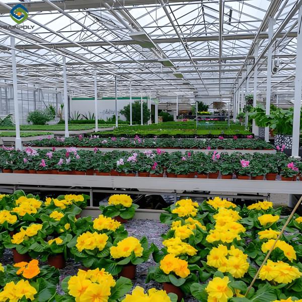 Quality Waterproof Flower Greenhouse Multi Span Greenhouse With Strong Load Bearing for sale