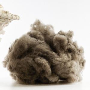 Buy cheap Short Fine Diameter Recycled Polyester Fiber With High Elasticity And Good Flame Chemical Resistance from wholesalers