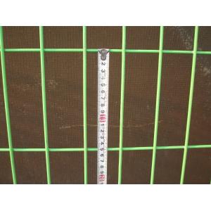 Good Quality Hot Dipped Galvanized Park BRC Fence