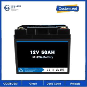 LiFepo4 Lithium Iron Phosphate Battery Packs 12v 100ah with Bms For RV Electric