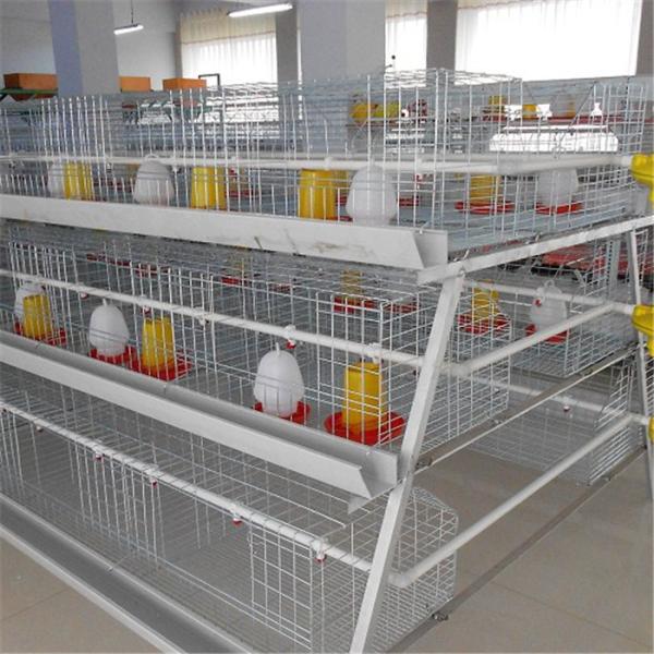 Buy cheap 3 Tiers HDG Chick Brooder Cage With Manual Feeding System from wholesalers