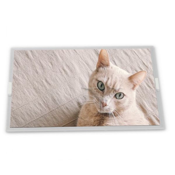 Buy cheap N080ICE-GB1 8inch TFT LCD Display Modules supplier lcd panel Rectangular screen supplier lcd panel from wholesalers
