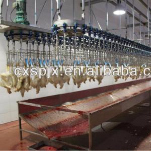 Customized Capacity Chicken Bleeding Line With Stainless Steel Slaughter Machine