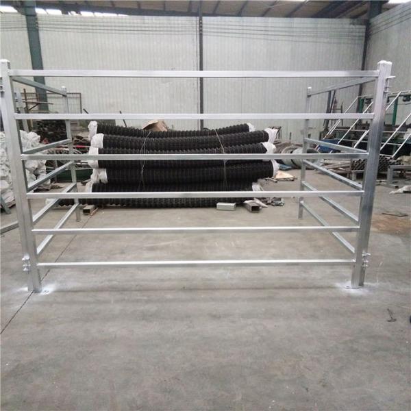 Buy cheap Cattle Panels 50mm * 50mm RHS * 1.6mm thickness from wholesalers