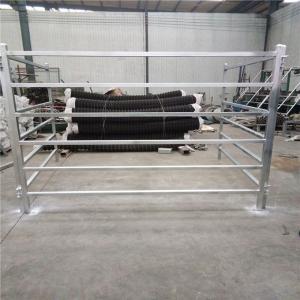 Buy cheap Cattle Panels 50mm * 50mm RHS * 1.6mm thickness from wholesalers