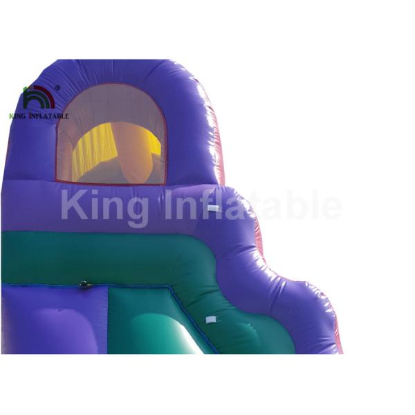 Plato PVC Double Inflatable Water Slide With Swimming Pool 1 Year Warranty