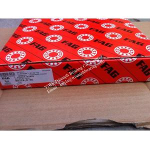 China FAG   Single Row Cylindrical Roller Bearing  NU228-E-M1-C4 on sale