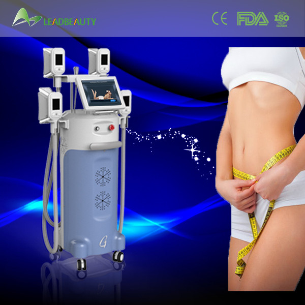 Quality 4 heads cryolipolysis freezing fat cell slimming cool sculpting machine for sale