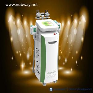 Buy cheap Vertical amazing result multifunction cryolipolysis to losing weight from wholesalers