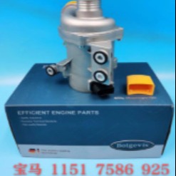China Water Pump Assembly for Vehicle Engines on sale