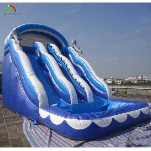 Large Inflatable Water Slide With Rainbow Double Lane Water Slide With Adult