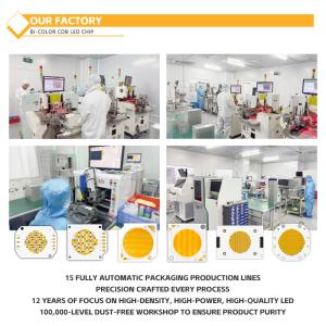 Buy cheap Customised Aluminum Material COB Chip 2424 in White Blue Red & Green High Brightness China Factory from wholesalers