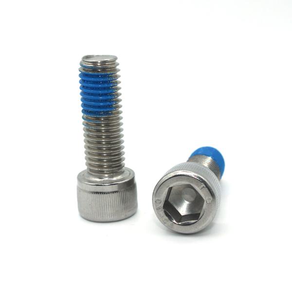 ISO9001 2015 Certified Metric Stainless Steel Nylon Coated Hex Socket Cap Screw Bolt