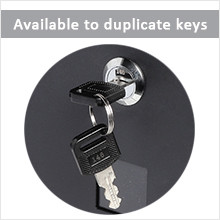 Wall Mounted Locking Mailbox with Electrostatic Powder Coating and Customizable