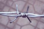 Buy cheap Double Twist Barbed Wire 10 Gauge Traditional Double Strands Barbed Wire Grassland Barrier from wholesalers