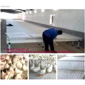 Buy cheap Chicken Plastic Slat Floor Poultry Farm Slatted Flooring Green color 40*27cm Rabbit Slat Floor from wholesalers