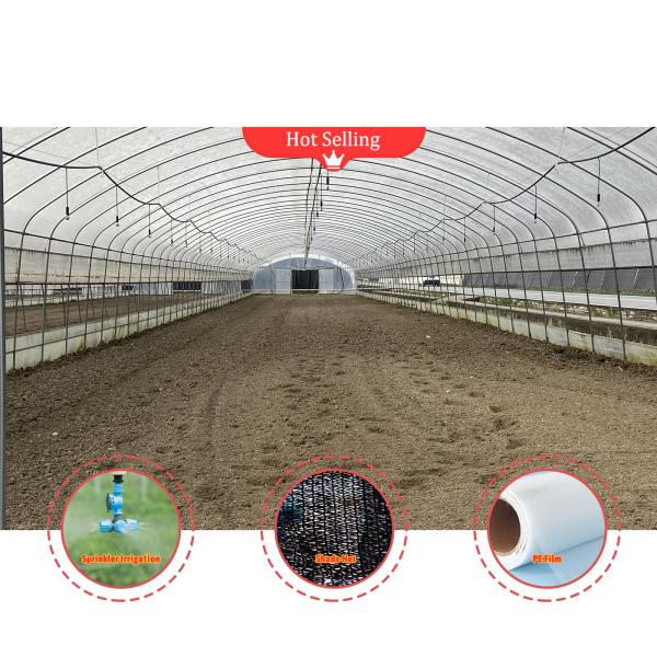 Quality Customizable Mushroom Greenhouse with Manual or Electric Roll Up Ventilation for sale