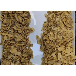 HACCP Canned Champignon Mushroom 2840g In Brine