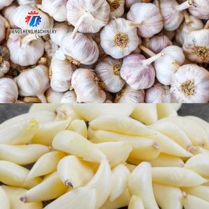 Buy cheap Garlic splitting machine minced garlic processing production Line from wholesalers