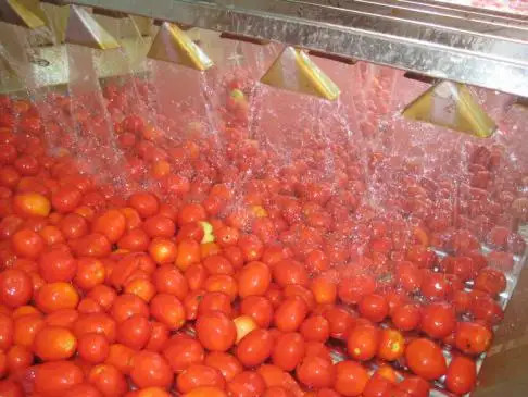 China Fresh Tomato Ketchup Jam Paste Sauce Processing Line on sale China Fresh Tomato Ketchup Jam Paste Sauce Processing Line on sale
