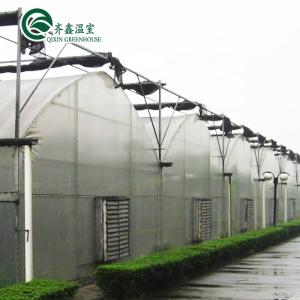 Buy cheap Double Layer PO Greenhouse Tunnel for Precise Temperature Control from wholesalers