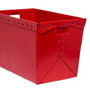 Buy cheap PP Plastic corrugated Asparagus Boxes Foldable Corrugated Plastic Box / Corrugated Plastic Container from wholesalers