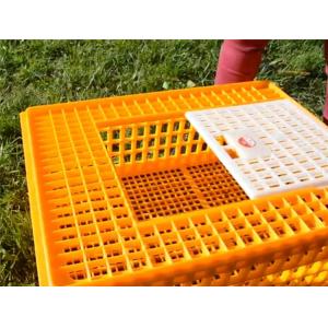 Buy cheap Poultry Broiler Quail Pigeon Plastic Chicken Transport Cages from wholesalers