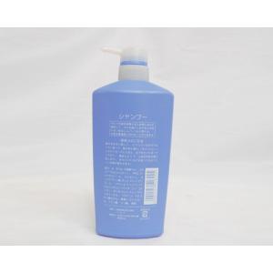 Buy cheap PE Shampoo Bottle-4 with pum from wholesalers