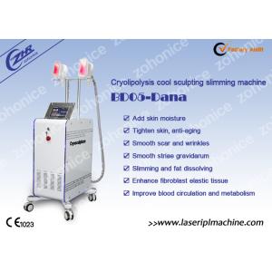 Buy cheap 2 Changeable Handle Cryolipolysis Slimming Machine With Antifreezing Membrance from wholesalers