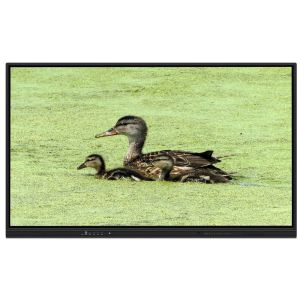 Buy cheap All In One Interactive Whiteboard 65 Inch Android 14 15 8+128G Teaching Meeting Software 50 Touch Points Light Sensor Speakers App Store Built-in For from wholesalers