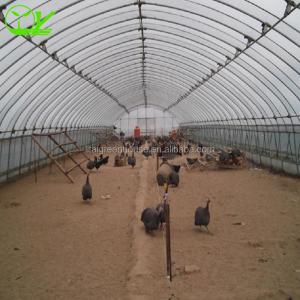 Buy cheap Customized Color Single-Span Greenhouse Perfect for Poultry Farm Design and Efficiency from wholesalers