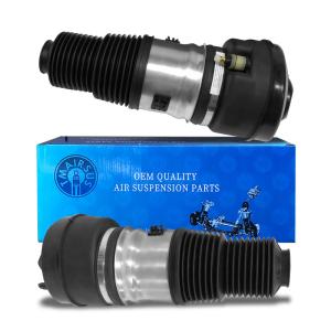 Customized Air Suspension System With Air Spring