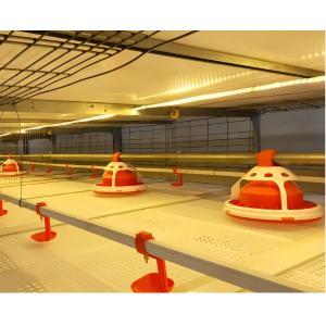 Buy cheap Customized Plastic Broiler Cage Equipment Automatic Poultry Breeding Equipment from wholesalers