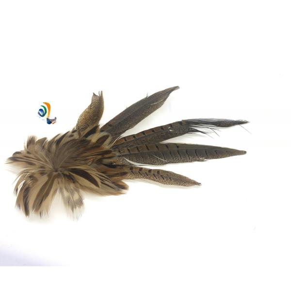 Suit Decoration Goose Hackle Feather Brooch With Wire Accessory 10x30Cm
