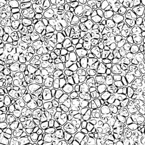 Buy cheap K-1900 Opening Agent Polyurethane Foaming Additive For Soft Foam from wholesalers