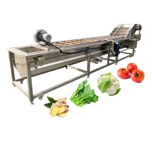 Water Saving 500kg Per Hour Vegetable and Fruit Avocado Garlic Tomato Pomegranat