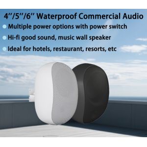 5 Inch Tweeter And Woofer Commercial Audio 30W/15W/7.5W/3.75W Wall Speakers with