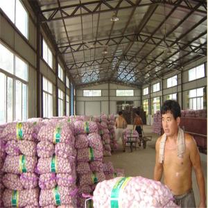 Buy cheap 20KG MESHBAG PACKAGE NORMAL WHITE GARLIC from wholesalers