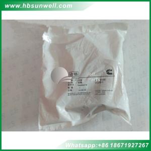 Buy cheap Cummins engine parts L10 M11 Thermostat Housing Plain Hose 3820667 from wholesalers