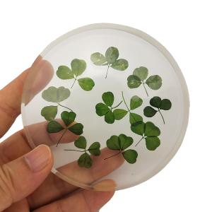 Buy cheap Artificial Transparent Flower Paperweight With Fragments / Chippings from wholesalers