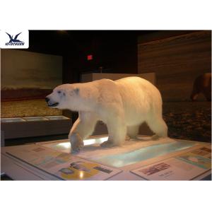 Buy cheap Life Size Artificial Animatronic Animals Model Power 50/60 Hertz For Water Park from wholesalers