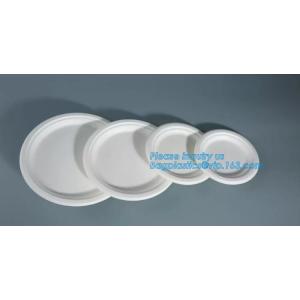 Compostable custom environmental biodegradable trays disposable sugarcane pulp
