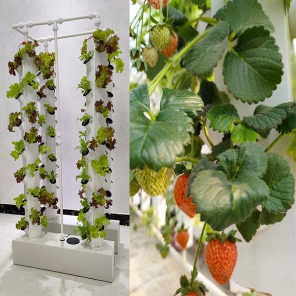 Quality Intelligent Hydroponics Vertical Garden Planting Herbal Plants NFT Growing System for sale