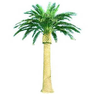 Buy cheap 15m 35m Camouflaged Cell Towers Artificial Palm Tree Antenna Towers product