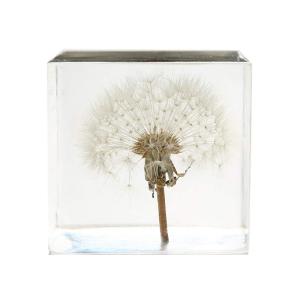 Buy cheap Cubic Flower Paperweight With Dandelion Inside Embed Processing from wholesalers