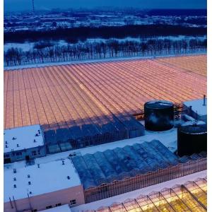 Buy cheap Double Arch Beam Greenhouse for Mushroom Farming Plastic Sheet Cover Single or Multi Span from wholesalers